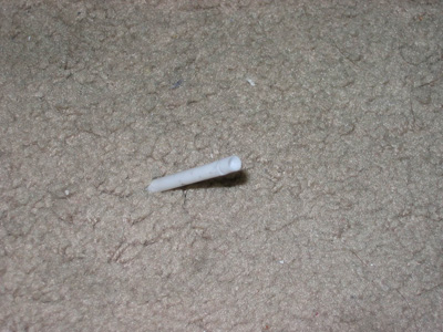 tool2s.jpg