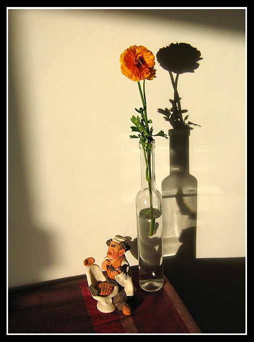 Tom-Flower_01.jpg