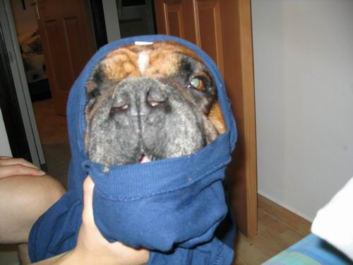 Resize of Picture 009.jpg