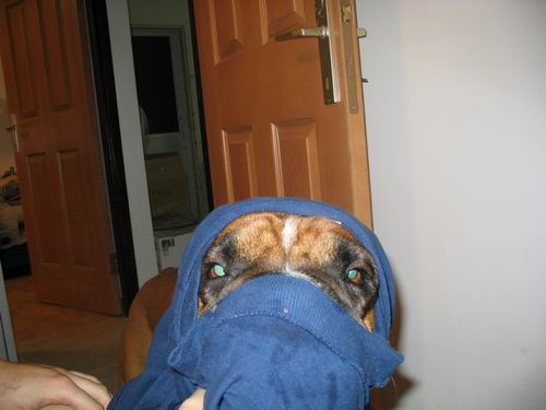 Resize of Picture 010.jpg