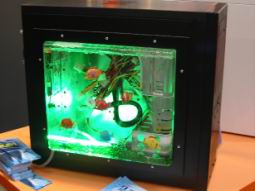 PC Aquiarium.jpg