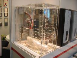 Sunny - Acrylic case.jpg