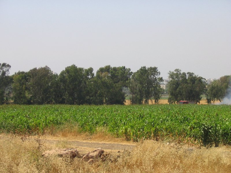 sIMG_1843.jpg